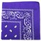 Qraftsy Extra Large Cotton Kerchiefs Paisley And Solid 27X27 Stylish Accessories